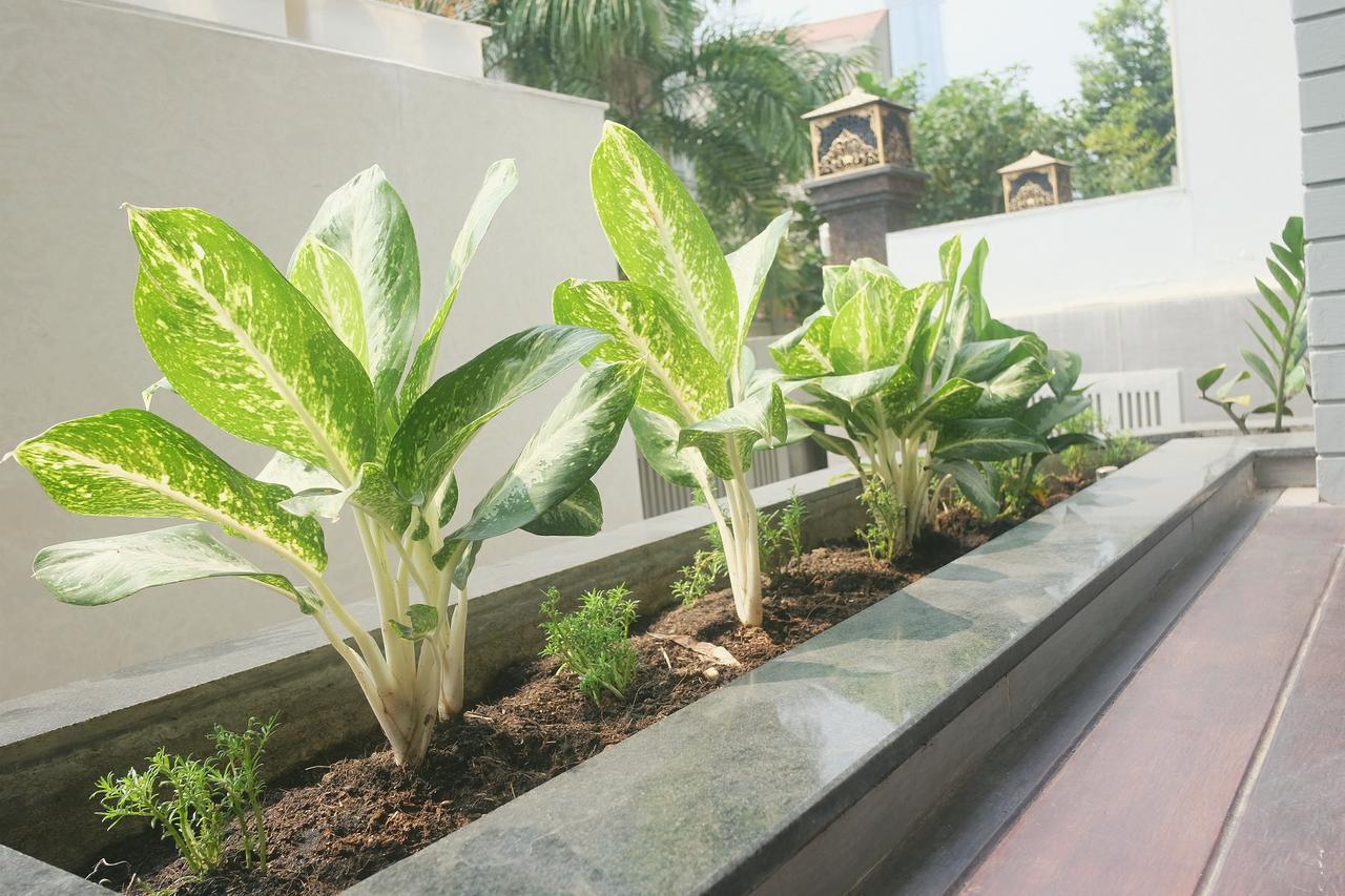 Greenwood Villa Saigon Хошимин Экстерьер фото