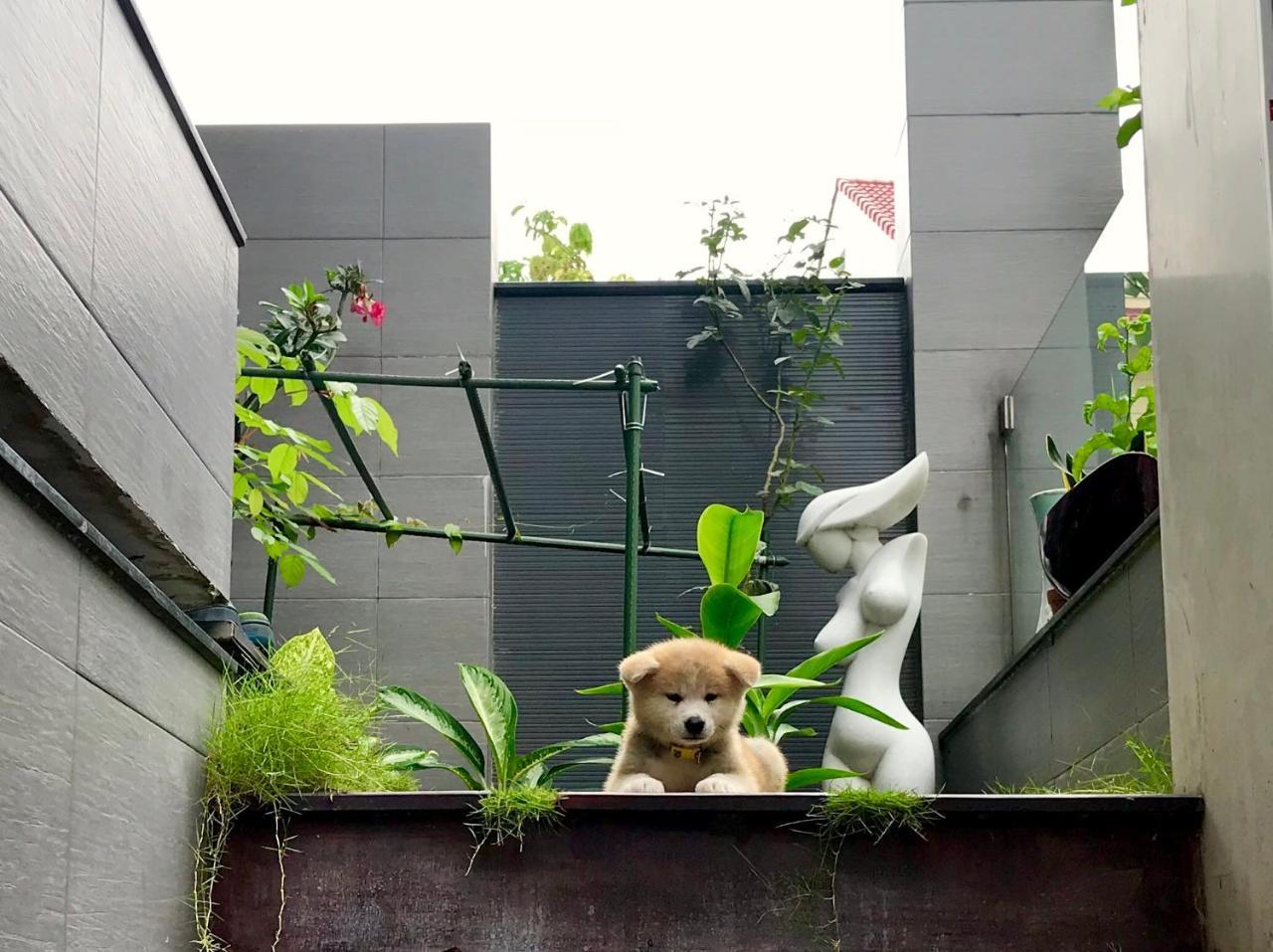 Greenwood Villa Saigon Хошимин Экстерьер фото